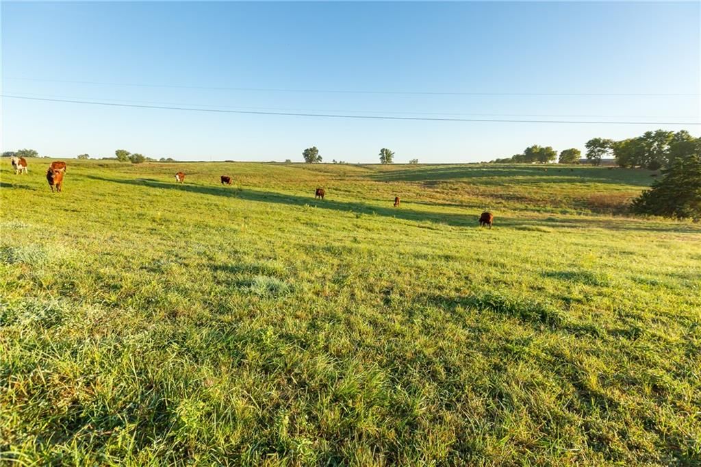 000 SE 401st, (Lot A-2) Street — photo 8