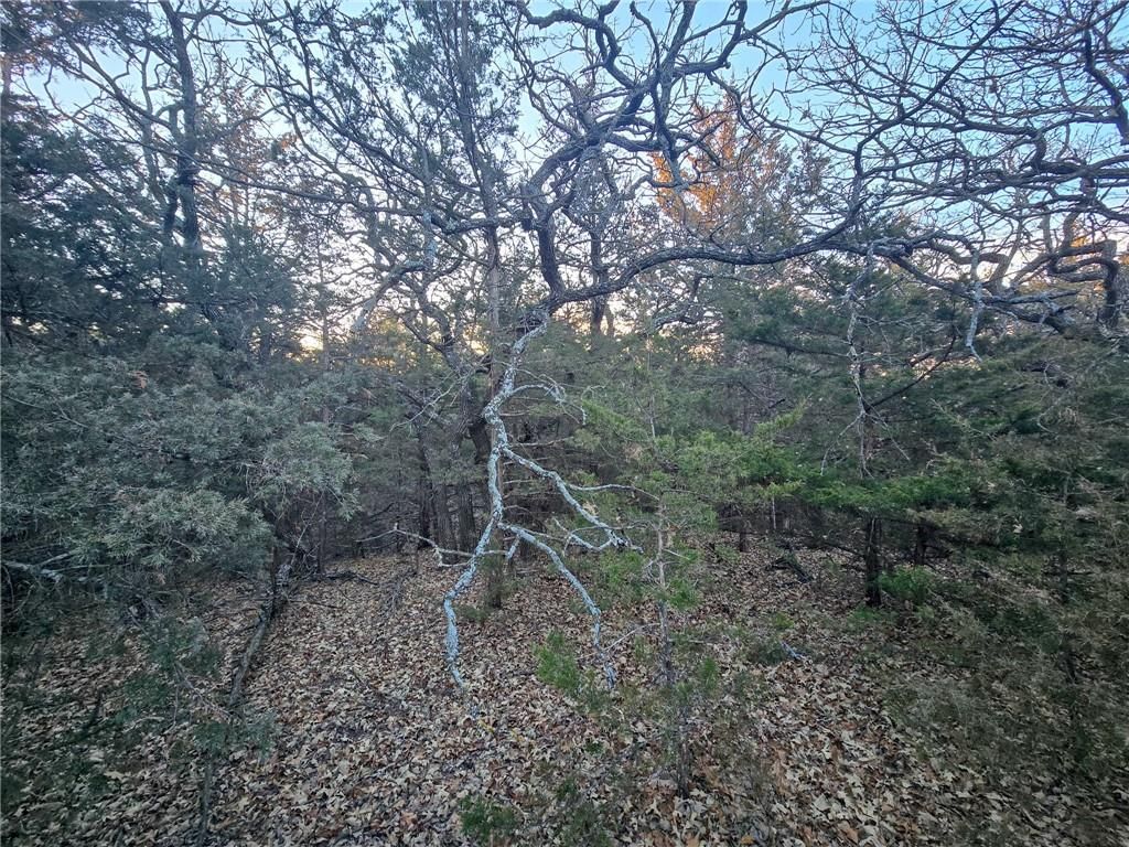 V Road — photo 7