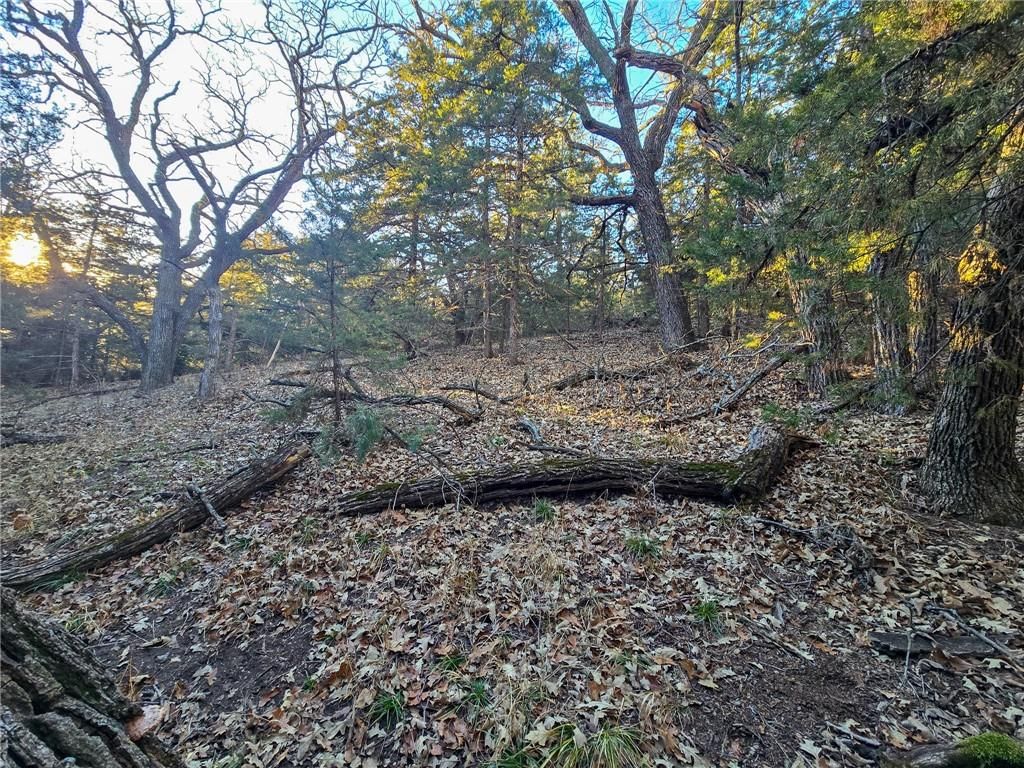 V Road — photo 20