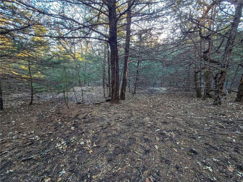 V Road — photo 24