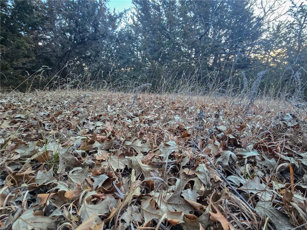 V Road — photo 31