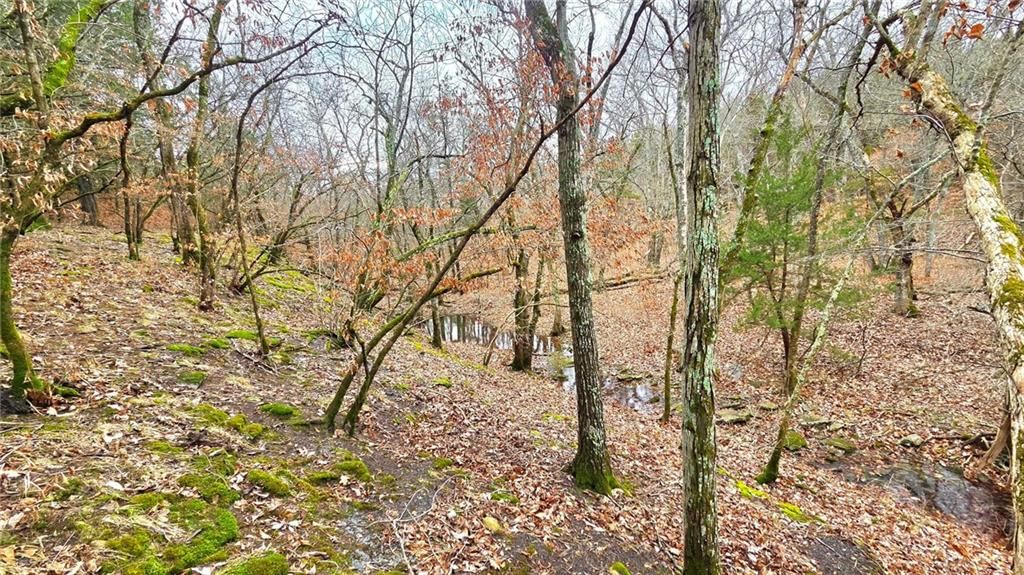 12156 Ellis Road — photo 8