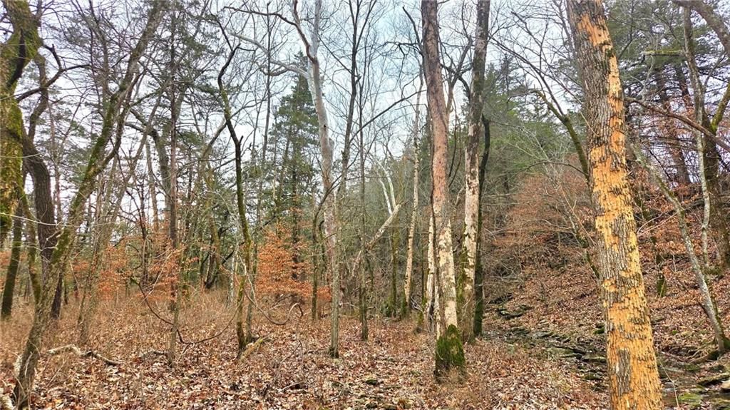 12156 Ellis Road — photo 26