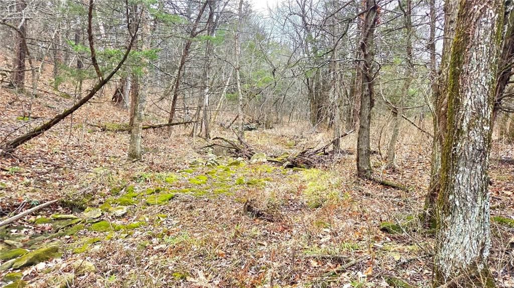 12156 Ellis Road — photo 32