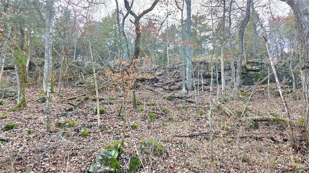 12156 Ellis Road — photo 40