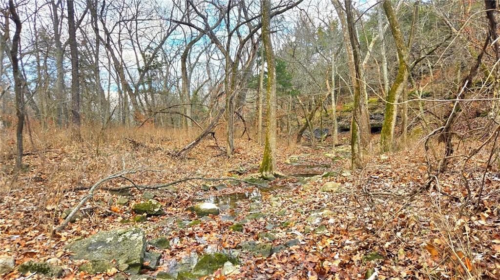 12156 Ellis Road — photo 41