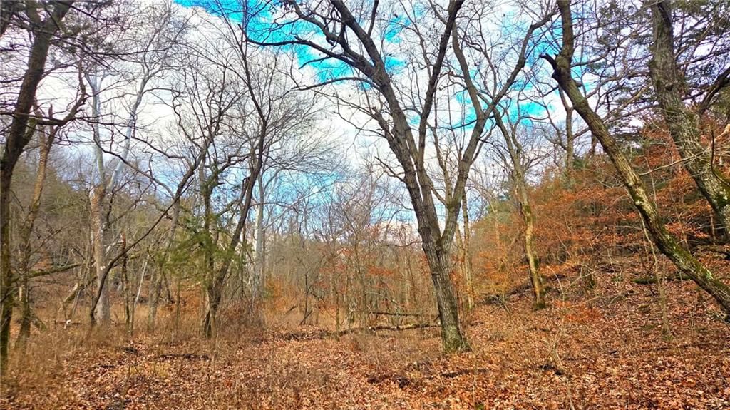 12156 Ellis Road — photo 42