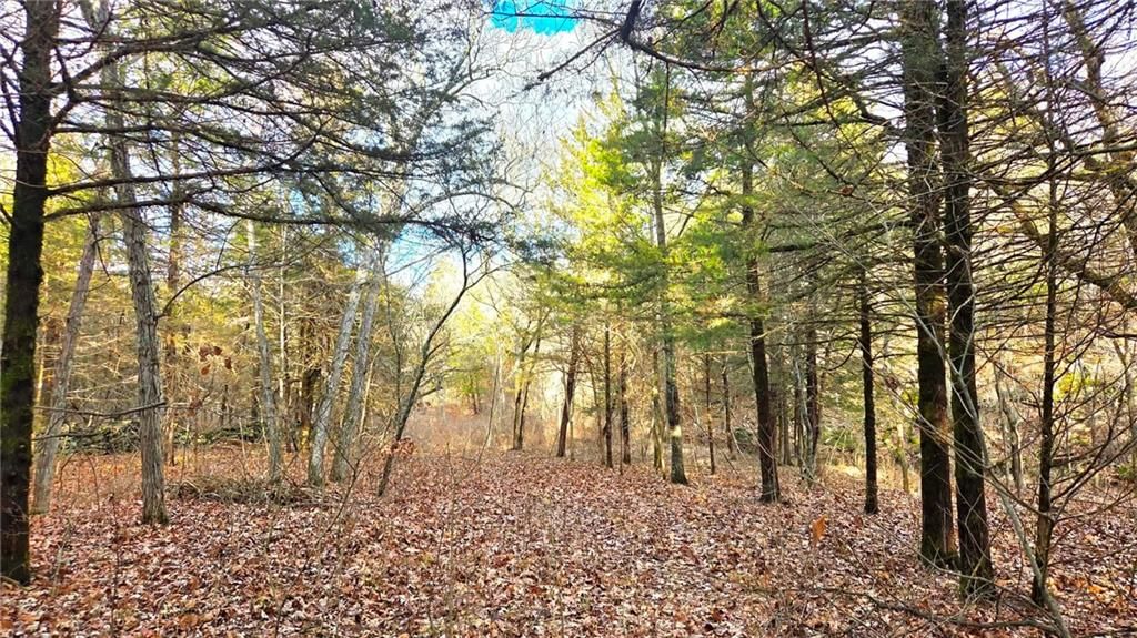 12156 Ellis Road — photo 44