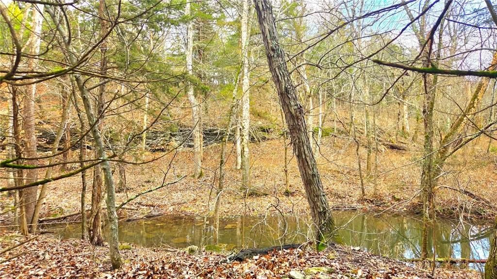 12156 Ellis Road — photo 48