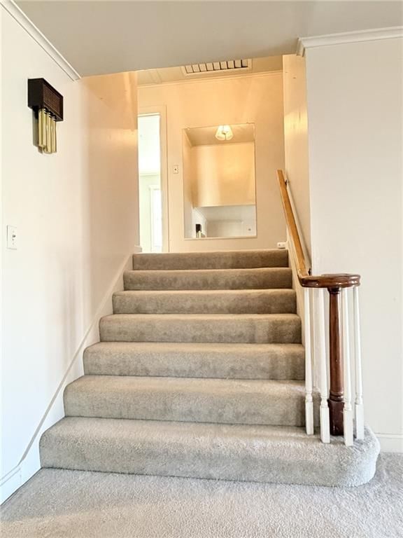 502 Ridgeway Street — photo 13