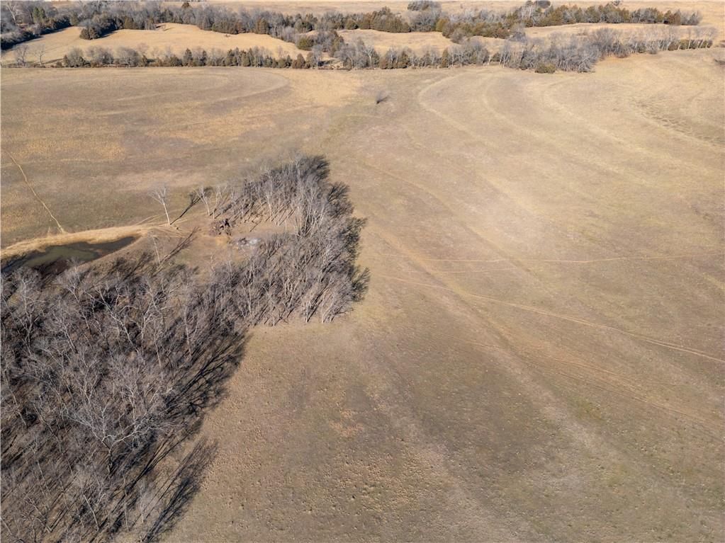 2255B Riley Road — photo 4