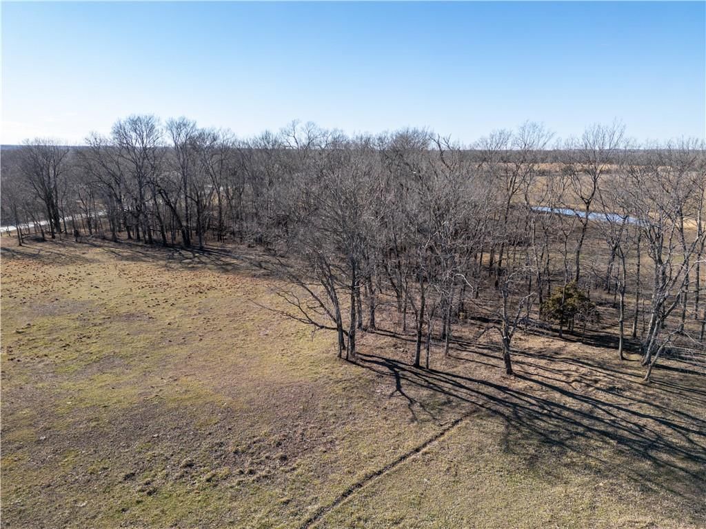 2255B Riley Road — photo 6