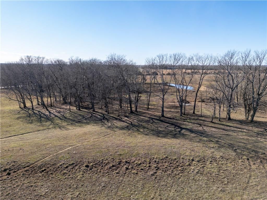 2255B Riley Road — photo 7