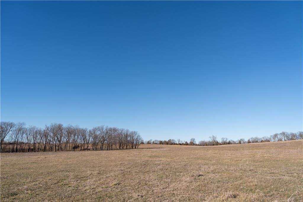 2255B Riley Road — photo 18