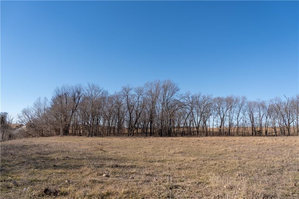 2255B Riley Road — photo 19