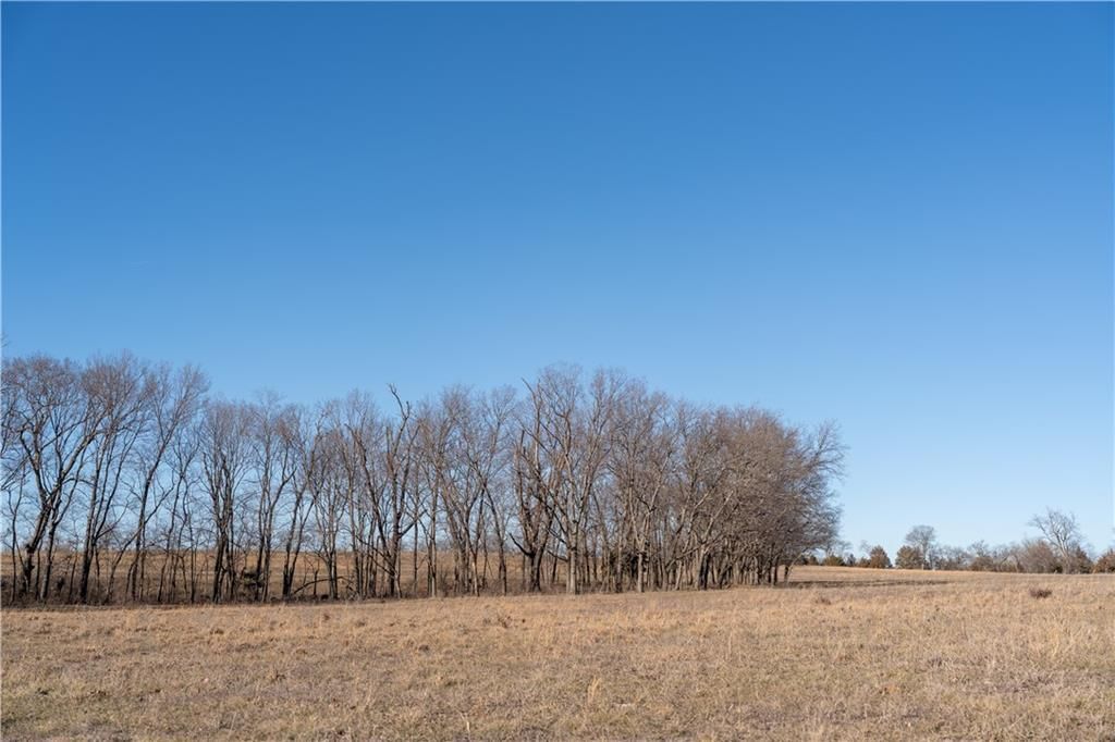 2255B Riley Road — photo 20