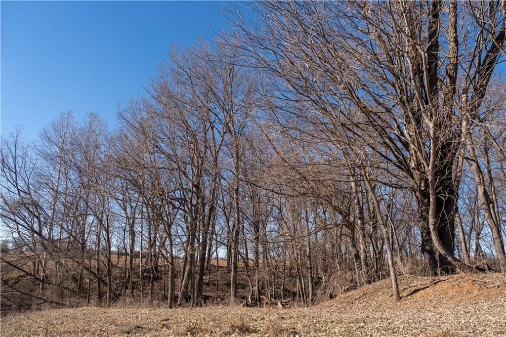 2255B Riley Road — photo 24