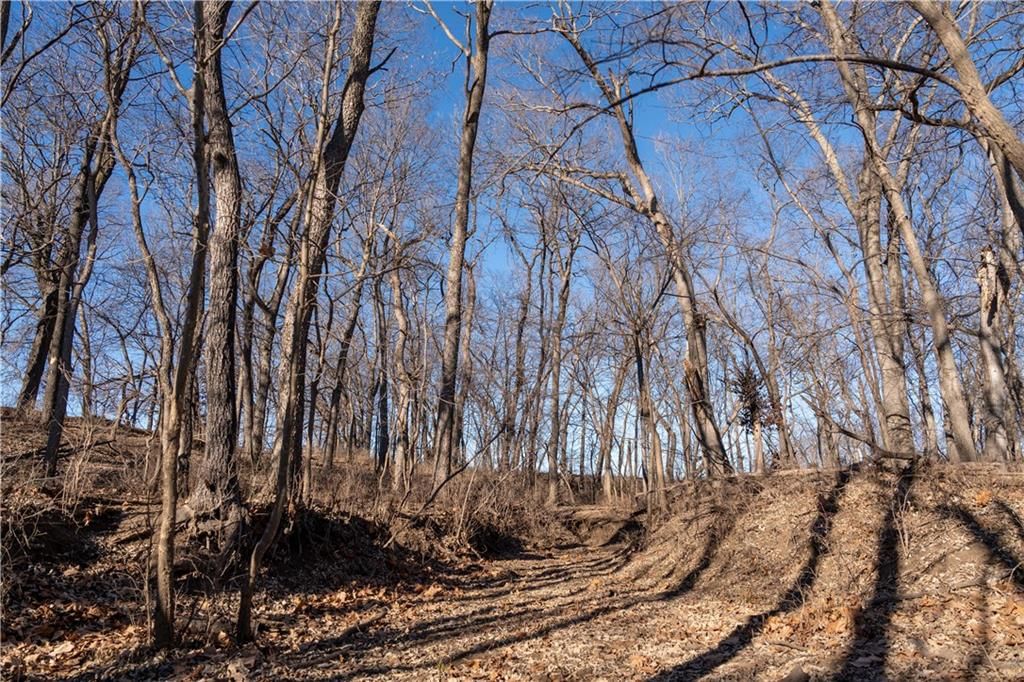 2255B Riley Road — photo 25