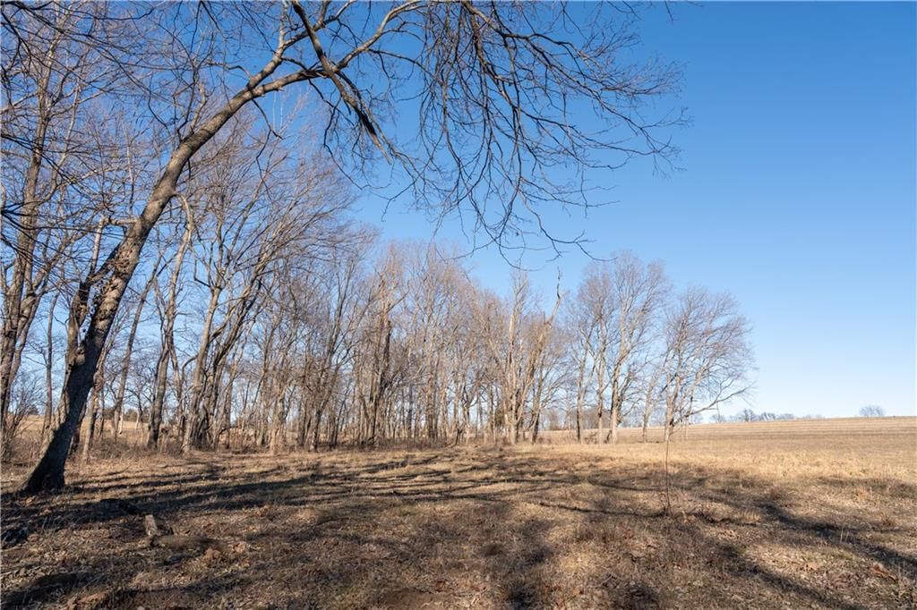 2255B Riley Road — photo 27
