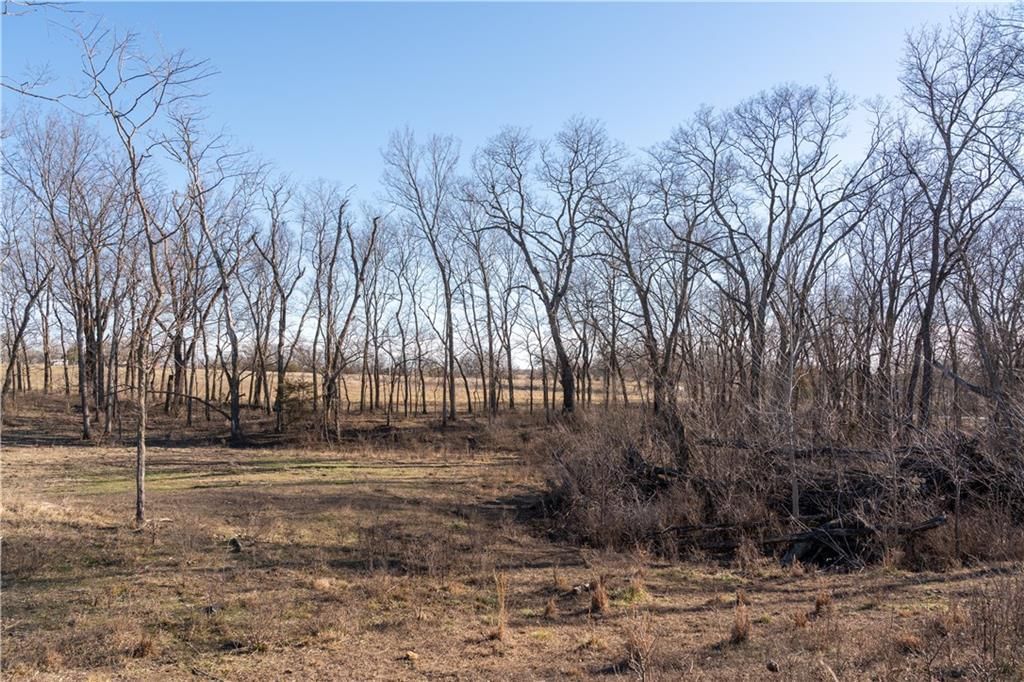 2255B Riley Road — photo 33