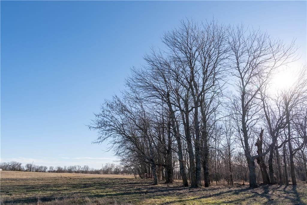2255B Riley Road — photo 35