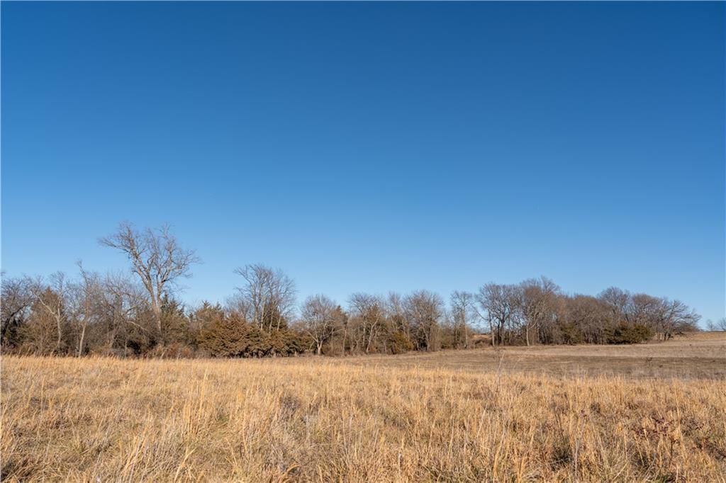 2255B Riley Road — photo 37