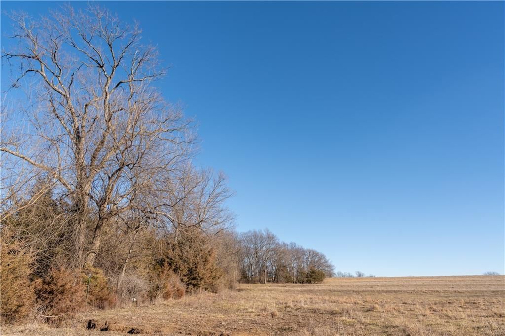 2255B Riley Road — photo 38