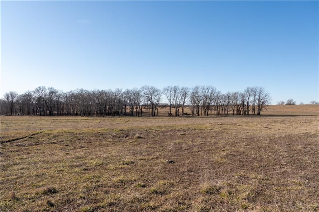 2255B Riley Road — photo 45