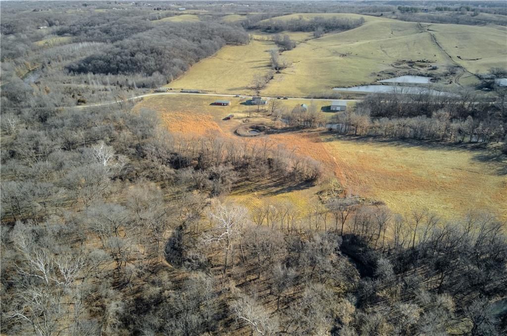 10336 Shach Creek Road — photo 42