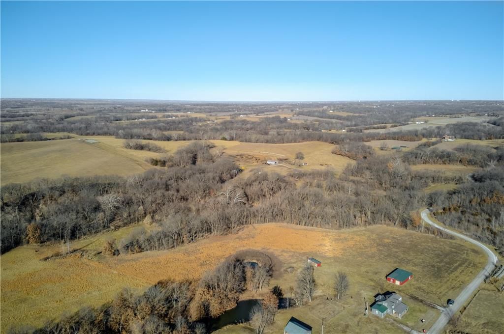 10336 Shach Creek Road — photo 46