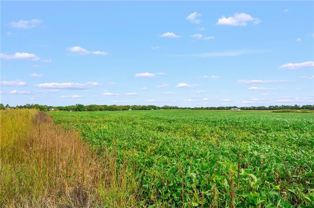 Lot 40, Smasal Road — photo 11