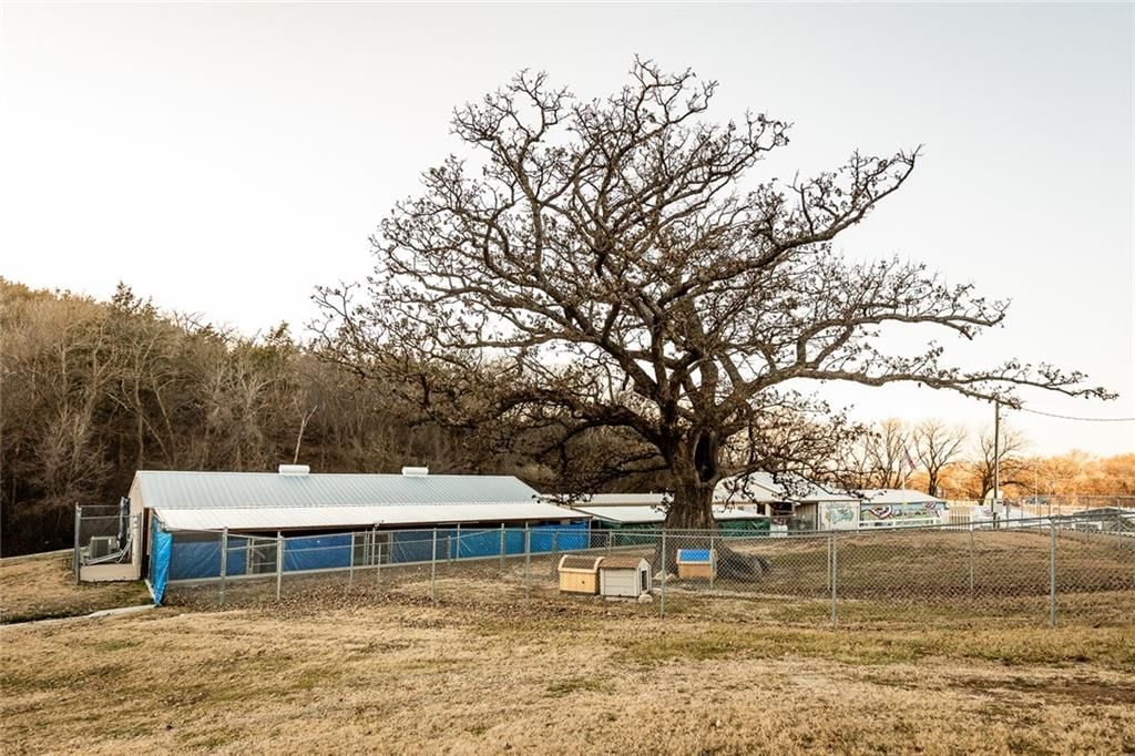 12344 Kennel Drive — photo 4