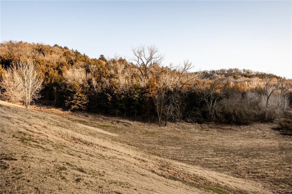 12344 Kennel Drive — photo 5