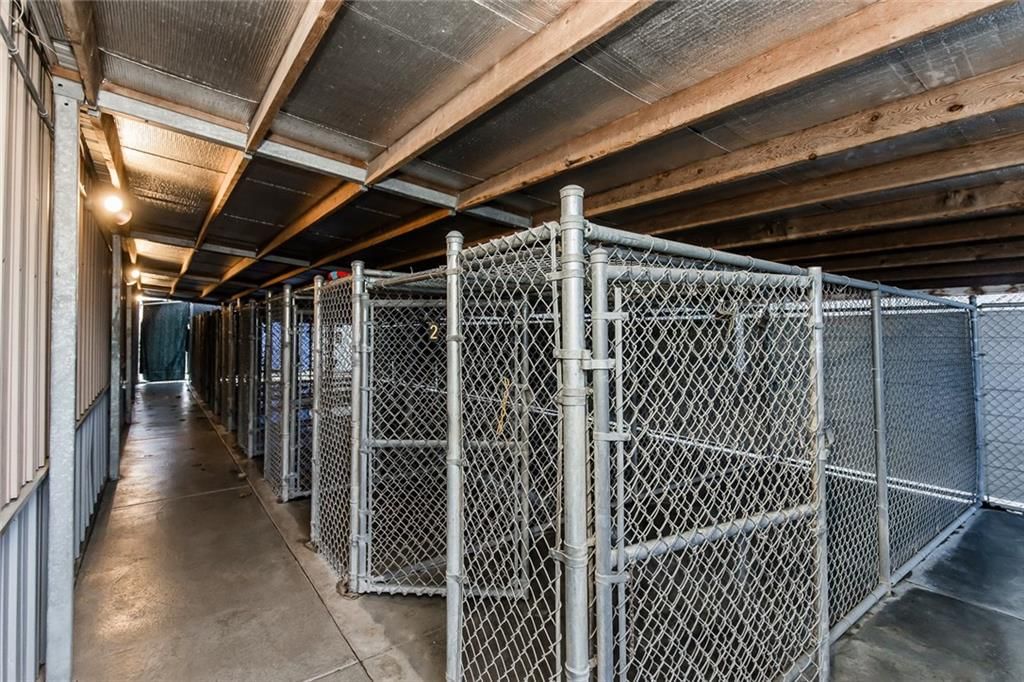 12344 Kennel Drive — photo 16
