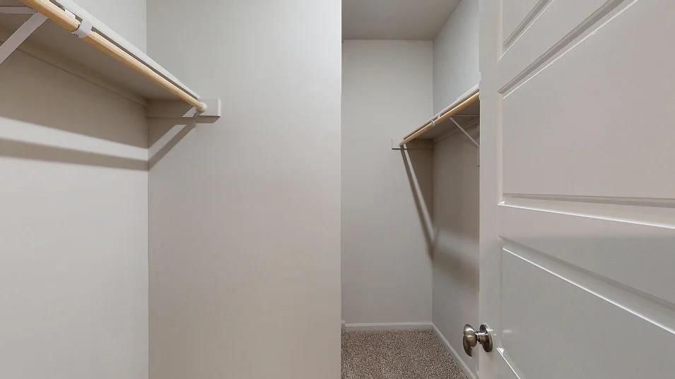534 W Bluebird Street — photo 11