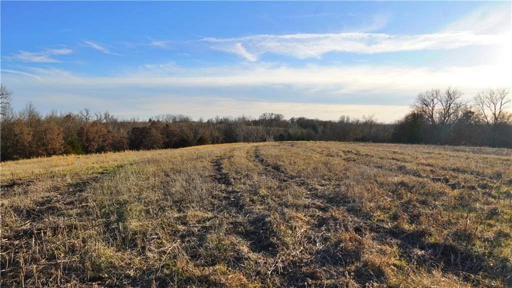 HWY WW Highway — photo 18