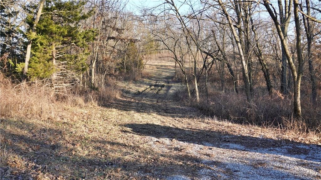 HWY WW Highway — photo 22