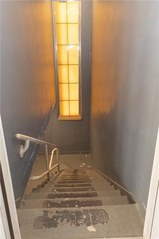 1103 Illinois Street — photo 45