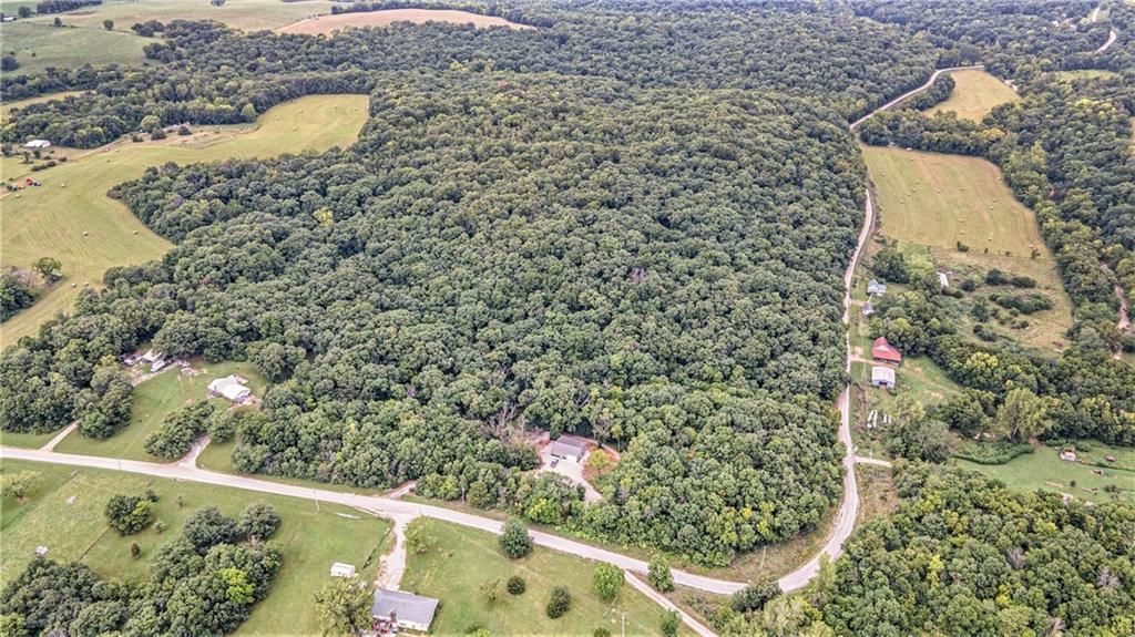 13150 Norris Road — photo 33