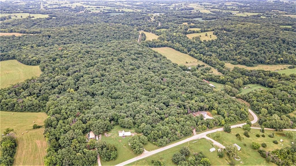 13150 Norris Road — photo 34