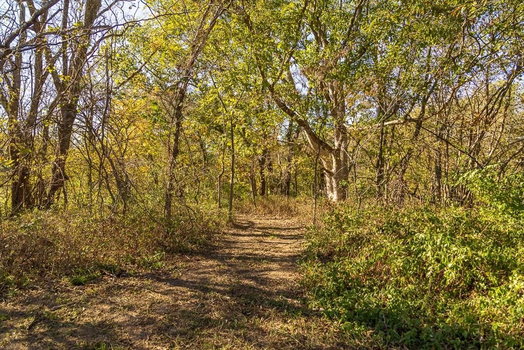 Tract 1 Highway OO Highway — photo 35