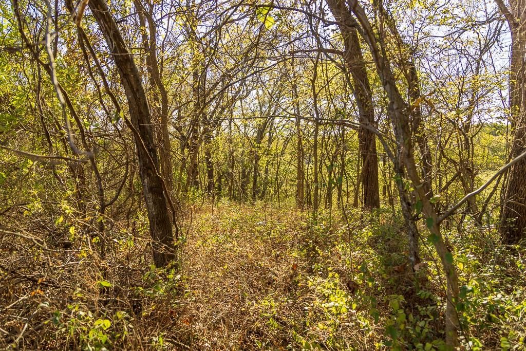 Tract 1 Highway OO Highway — photo 37