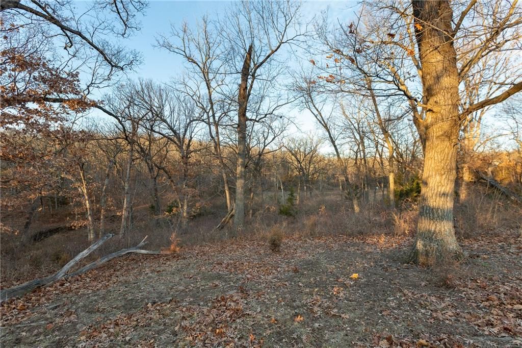 38502 E Parrent Road — photo 14