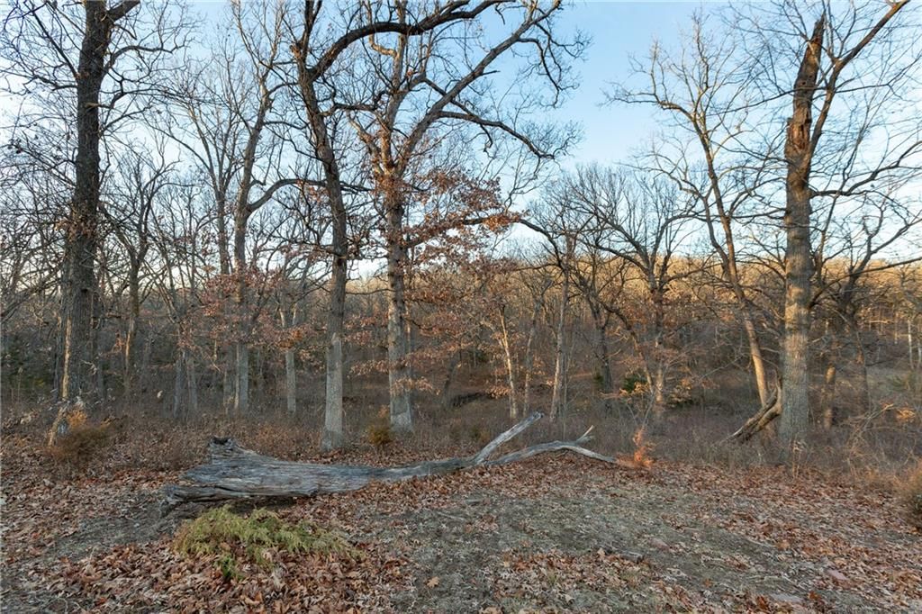 38502 E Parrent Road — photo 15