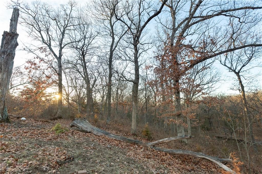 38502 E Parrent Road — photo 16
