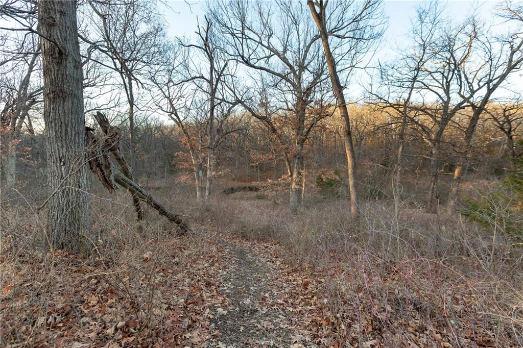 38502 E Parrent Road — photo 17