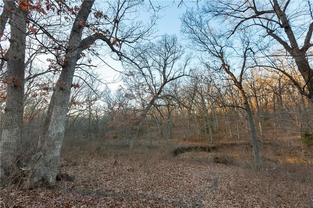 38502 E Parrent Road — photo 18