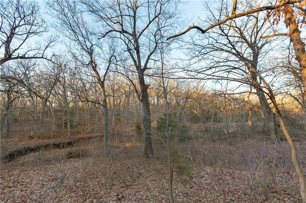 38502 E Parrent Road — photo 19