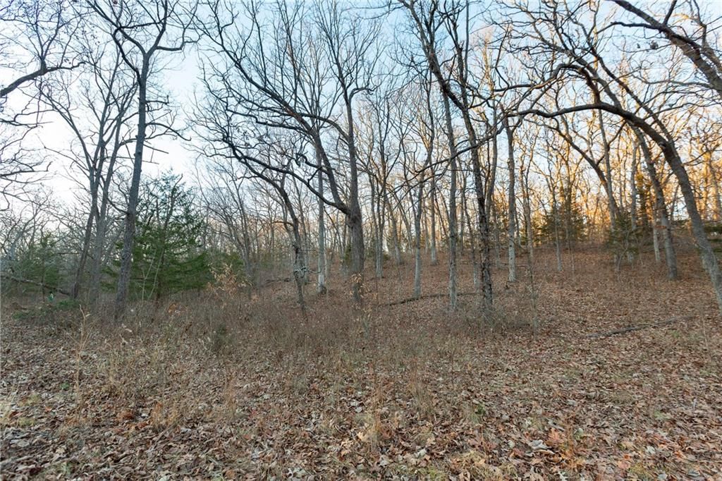 38502 E Parrent Road — photo 23