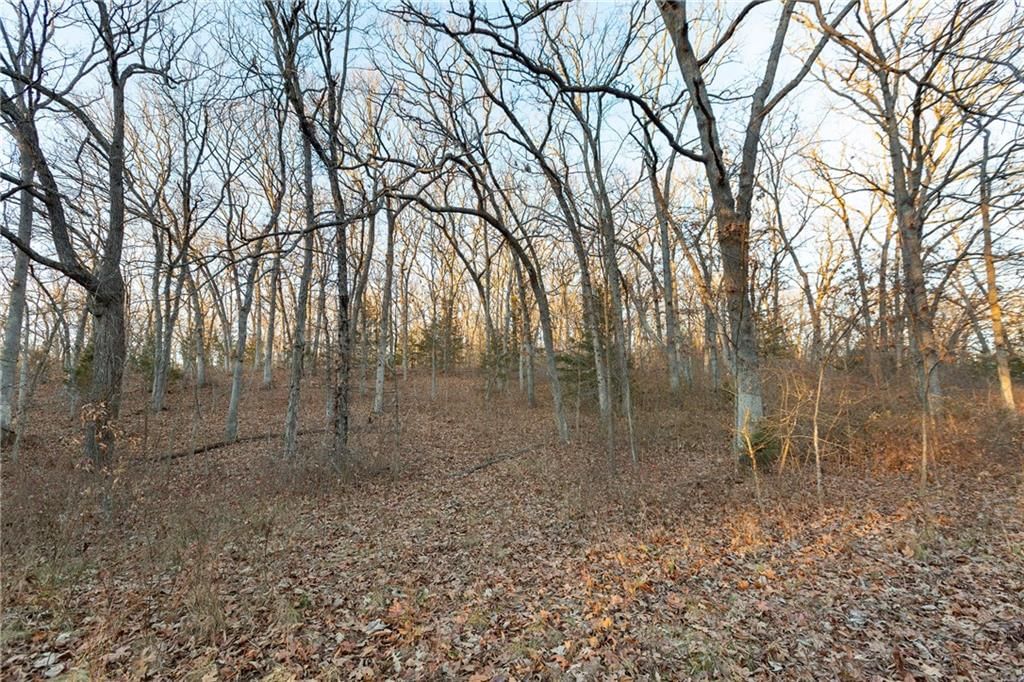 38502 E Parrent Road — photo 24